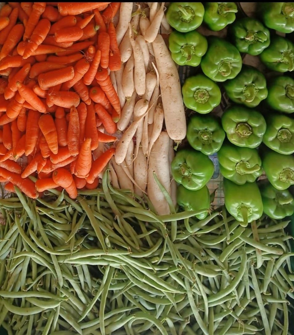Fresh Organic Vegetables